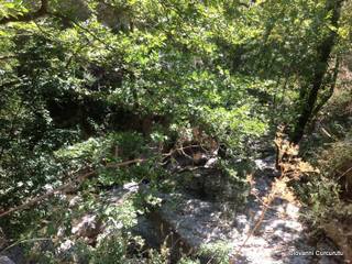 ldaia del Drago25-07-2015 20-35-57